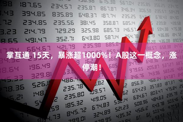掌互通 15天，暴涨超1000%！A股这一概念，涨停潮！