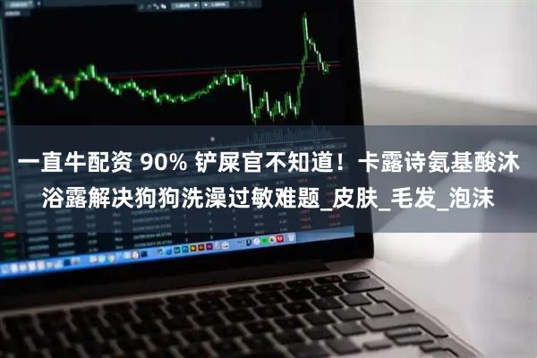 一直牛配资 90% 铲屎官不知道！卡露诗氨基酸沐浴露解决狗狗洗澡过敏难题_皮肤_毛发_泡沫